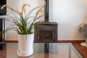 Casa Huerto del Pitorreo