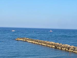 Appartements Spacious air-conditioned duplex with 270 degree sea views : photos des chambres