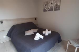 Appartements Gites plouraboue Lou Chai : photos des chambres