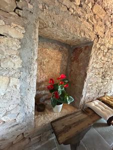 Maisons de vacances Gites sur Le Causse de St CHELS, charme sport et detente : photos des chambres