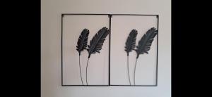 Appartements souffle boheme : photos des chambres