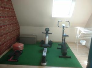 Appartements Appartement agreable et atypique, renove, wifi, terrasse, jardin : photos des chambres