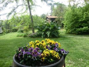 B&B Lieti Colli