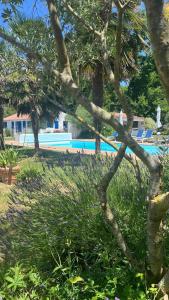Gîtes de charme "lécrin de Vendée" jacuzzi privatif, piscine chauffée, prestations bien être, vélos à 10 mn de locéan sur 3,5 h de verdure