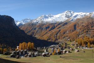 Edelweiss - Ile-de-Paix - 1985 la Forclaz