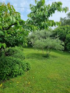 Il nido di Irene e Sofia