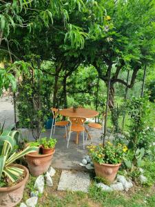 Il nido di Irene e Sofia