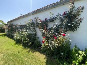 Villas Le Moulin de la Boire, exceptionnel pour 12 personnes : photos des chambres