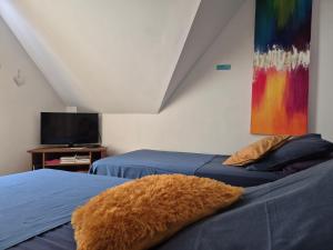 B&B / Chambres d'hotes La Maison D'ayona : photos des chambres