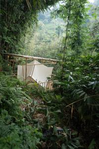 Nysa Forest Sanctuary