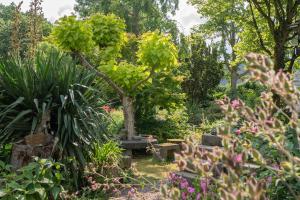 Prachtig genieten in het groen met royale tuin
