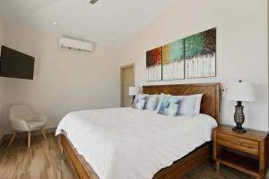 Serene Oceanview Villa with Pool