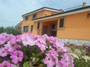 Il Poggetto Marzamemi B&B