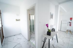 Cozy 1-Bedroom Apartment