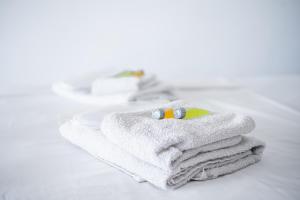 Cozy 1-Bedroom Apartment