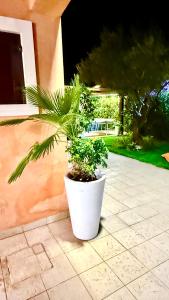 Luxury Villa Diamante