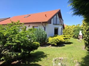 Biały Domek dla 6 osób oraz Domek Sternika dla 4 osób - jezioro, las, wiejski klimat