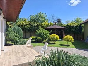 Biały Domek dla 6 osób oraz Domek Sternika dla 4 osób - jezioro, las, wiejski klimat