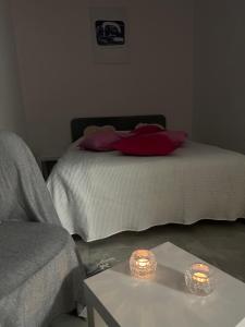 Cozy V&S apartment with two bedrooms