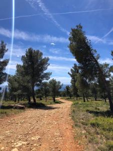 Villas Villa Baguier Mediterranee - Nature & Sea : photos des chambres