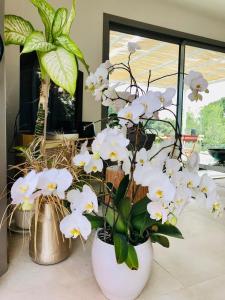 Villas Villa Baguier Mediterranee - Nature & Sea : photos des chambres