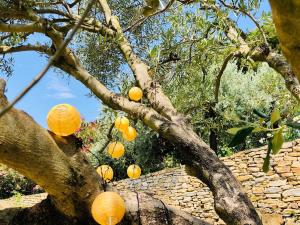 Villas Villa Baguier Mediterranee - Nature & Sea : photos des chambres