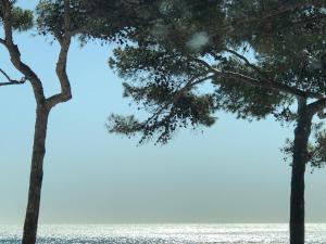 Villas Villa Baguier Mediterranee - Nature & Sea : photos des chambres