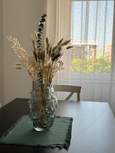 Nextoasinara Suite img24