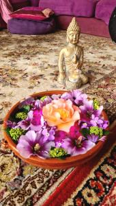 Maisons de vacances Carner de Bord : photos des chambres