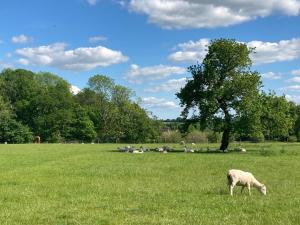 1 bed in Shaftesbury 52108