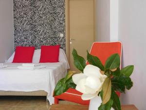 Aeolis Apartments & Studios Lesvos Greece