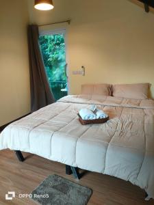 สถานีน้ำหวาน รีสอร์ท น้ำตกอ้ายเขียว