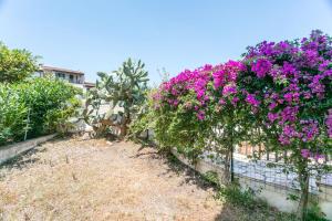 Appartamento le Farfalle 19