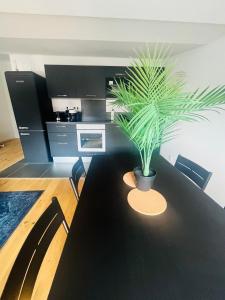 Appartements Magnifique T3 refait a neuf centre-ville : Appartement 3 Chambres