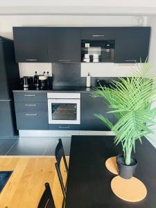 Appartements Magnifique T3 refait a neuf centre-ville : photos des chambres