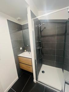 Appartements Magnifique T3 refait a neuf centre-ville : photos des chambres