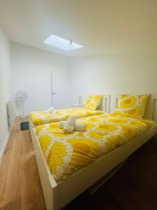 Appartements Magnifique T3 refait a neuf centre-ville : photos des chambres