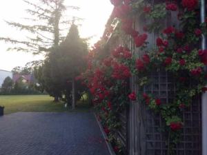 Zinnowitz Haus Doris