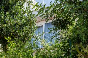 Pietra di Luna Domo img11