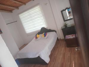 Trekkers haven Enjoy Colombia Ecoliving