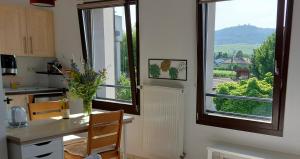 Appartements La petite tuilerie d Eguisheim : Appartement 1 Chambre