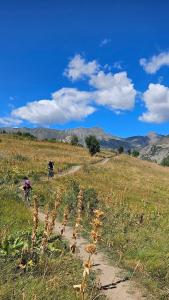 Appartements Appartement dans chalet pied des pistes : photos des chambres