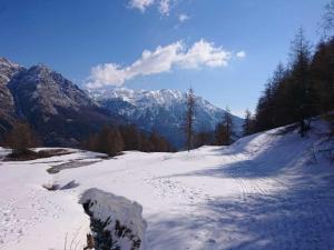 Appartements Appartement dans chalet pied des pistes : photos des chambres