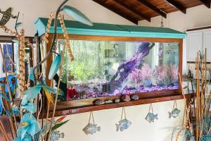 Casa Oasis in the center of Puerto Jimenez