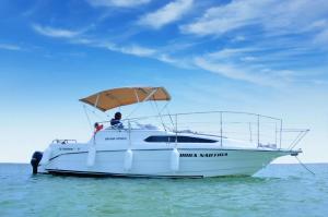 Snorkeling boat tour in Punta Cana