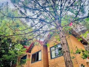 Zen Homestay Đà Lạt