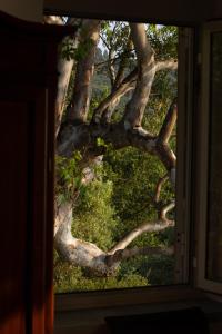 LOrizzonte di Punta Tresino