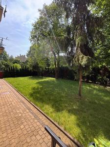 Parrot Apartment Main Station Cracow
