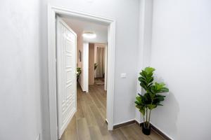 Serenity Villa Apartments