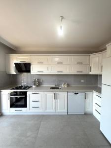 Modern Pool Villa near Sarımsaklı Beach in Ayvalık